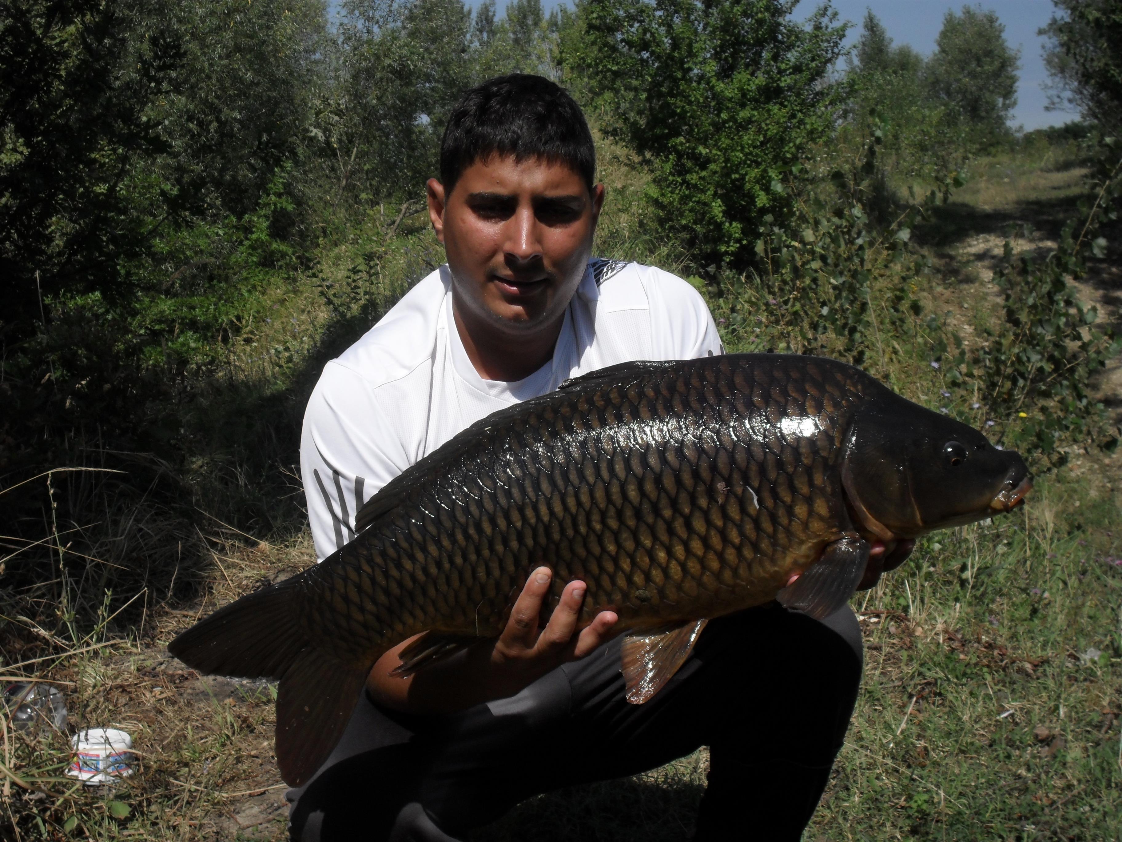 balastiera pescarusu fratelo - SAM_0383.JPG